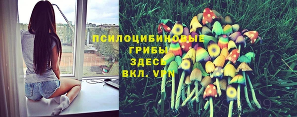 каннабис Вяземский