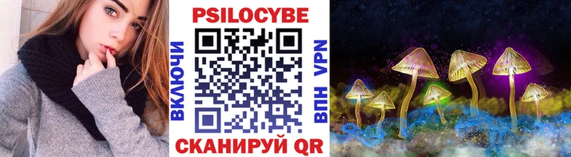 Псилоцибиновые грибы мицелий  Купить  Иннополис 
